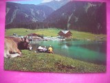 HOPCT 19759 VILSALPSEE -TIROL-AUSTRIA -NECIRCULATA