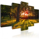 Cumpara ieftin Tablou - In the shade of forest 100x50 cm
