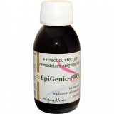 EPIGENIC-PRO 100ml AGHORAS, AGHORAS INVENT