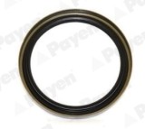 PAYEN NJ737 simering butuc roata