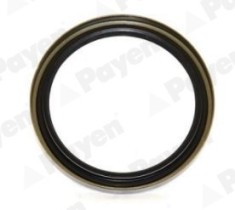 PAYEN NJ737 simering butuc roata