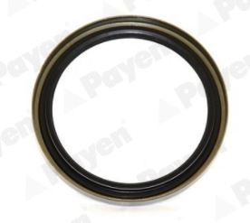 PAYEN NJ737 simering butuc roata