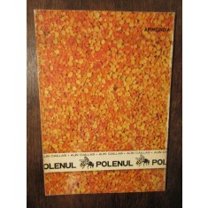 Polenul - Alin Caillas