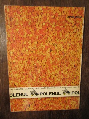 Polenul - Alin Caillas foto