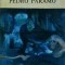 Juan Rulfo - Pedro Paramo