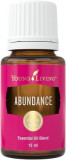 Ulei esential amestec Abundenta (Abundance Essential Oil Blend) 15 ML