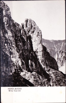 AMS - ILUSTRATA 865 MUNTII BUCEGI - BRINA CAPRELOR, NECIRCULATA foto