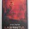 LABIRINTUL - INCERCARILE FOCULUI de JAMES DASHNER , 2015