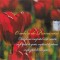 Various - O Adiere De Primavara, CD