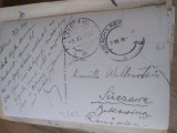 Circulatii Ilustrate Bukowina Bucovina Suczava