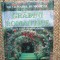 DICTIONARUL DUMONT DE GRADINI ROMANTICE , PROIECTE ATRACTIVE SI PLANTE ADECVATE de W. T. WEHMEYER , HERMANN HACKSTEIN , 2008