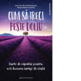 Cum sa treci peste doliu. Carte de capatai pentru a te bucura iarasi de viata - Evelyne Bissone Jeufroy, Anne Ancelin Schutzenberger, Cristina Livia V