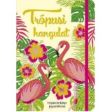 Tr&oacute;pusi hangulat - Inspir&aacute;ci&oacute;s k&ouml;nyv jegyzetel&eacute;shez
