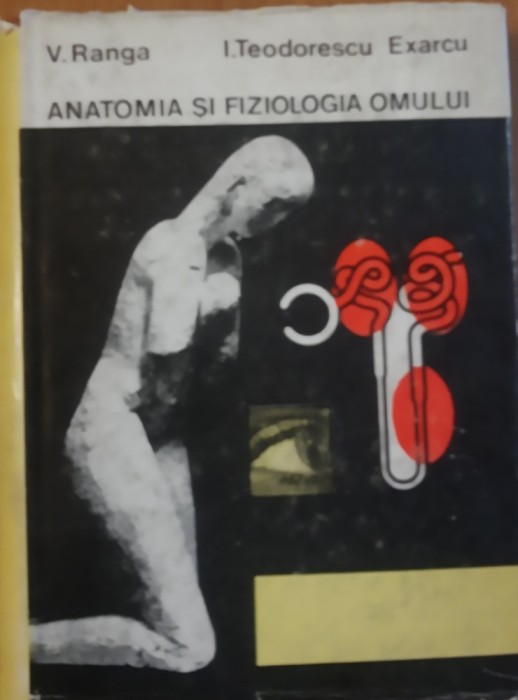 Anatomia si fiziologia omului Viorel Ranga/ I. Teodorescu Exarcu