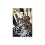 Big Cats - Katamwa aika buubura (Te Kiribati)