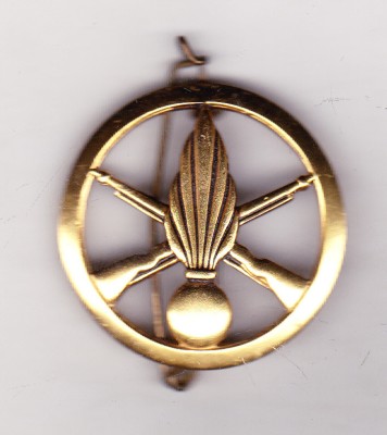 bnk ins Franta - Insigna militara de bereta - Infanterie - Bichet foto