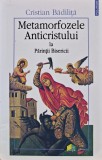 Cumpara ieftin Metamorfozele Anticristului la Parintii Bisericii - 2006 - Cristian Badilita (XD325)