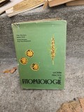 Lucrări practice de Fitopatologie