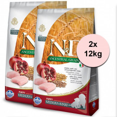 Farmina N&amp;D dog LG Puppy MEDIUM &amp; MAXI Chicken &amp; Pomegranate 2 x 12 kg