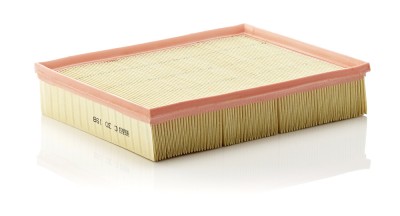 MANN-FILTER C 30 198 Filtru aer foto