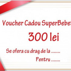 Voucher Cadou 300 lei