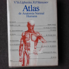 ATLAS DE ANATOMIA NORMAL HUMANA - V.YA.LIPHENKO (EDITIE IN LIMBA SPANIOLA)