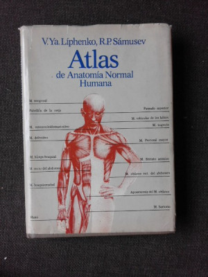 ATLAS DE ANATOMIA NORMAL HUMANA - V.YA.LIPHENKO (EDITIE IN LIMBA SPANIOLA) foto