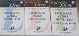 PROBLEME DE ALGEBRA PENTRU LICEU VOL.1-3-ION PETRICA, ION LAZAR-265469