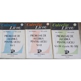 PROBLEME DE ALGEBRA PENTRU LICEU VOL.1-3-ION PETRICA, ION LAZAR-348425