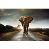 Fototapet de perete autoadeziv si lavabil Drumul elefantilor, 220 x 135 cm