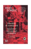 Prăvăliile de scorțișoară - Paperback brosat - Bruno Schulz - Pandora M