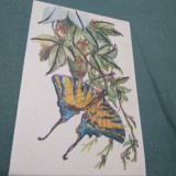 Cumpara ieftin CARTE POSTALA FELICITARE CIRCULATA