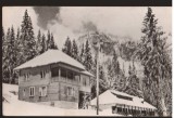 CPIB 22703 - CARTE POSTALA - MUNTII BUCEGI. CABANA &quot;SCROPOASA&quot;, RPR