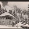 CPIB 22703 - CARTE POSTALA - MUNTII BUCEGI. CABANA &quot;SCROPOASA&quot;, RPR