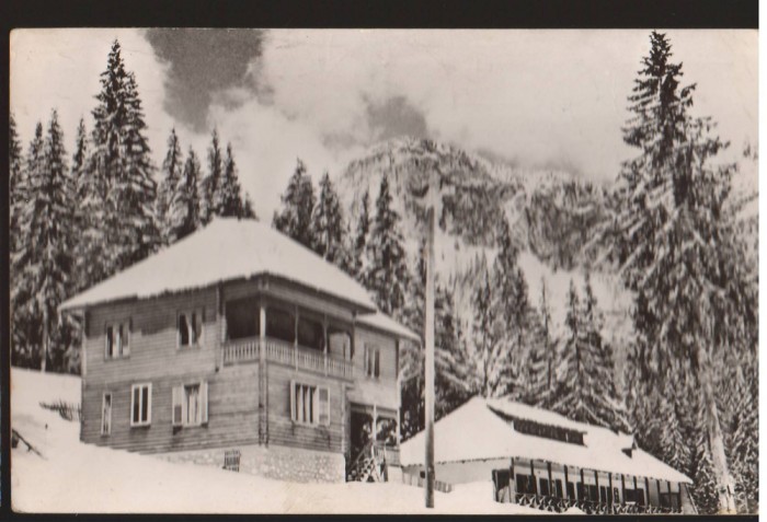 CPIB 22703 - CARTE POSTALA - MUNTII BUCEGI. CABANA &quot;SCROPOASA&quot;, RPR
