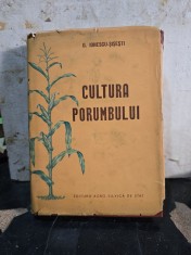 Cultura porumbului - G. Ionescu-Şişeşti