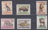 A12 S4 8 - Timbre foarte vechi - Ungaria - animale salbatice