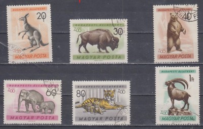 A12 S4 8 - Timbre foarte vechi - Ungaria - animale salbatice foto