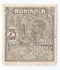*Romania, lot 1134 cu 1 timbru fiscal statistic, 1920, NG, Nestampilat