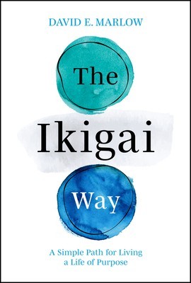 The Ikigai Way foto
