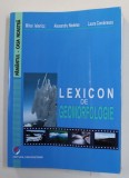 LEXICON DE GEOMORFOLOGIE de MIHAI ELENICZ ...LAURA COMANESCU , 2013 , PREZINTA URME DE INDOIRE