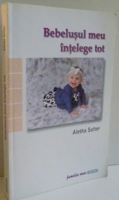 BEBELUSUL MEU INTELEGE TOT de ALETHA SOLTER , 2006 . foto