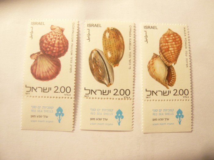 Serie mica Israel 1977 Scoici 3 valori (din 4v)