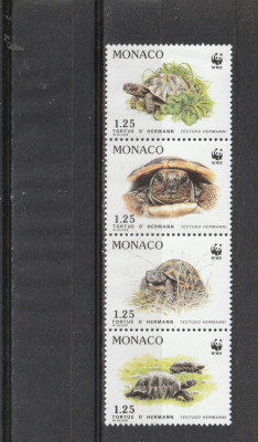 Fauna ,testoase ,WWF,Monaco . foto
