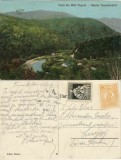 CP1943N Partii din Băile Tușnad/R&eacute;szlet Tusn&aacute;df&uuml;rdőről, 1925, carte poștală destinată lui Alexandru Vasilie, primnotarul orașului Lugoj