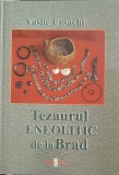 TEZAURUL ENEOLITIC DE LA BRAD-VASILE URSACHI