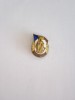 QW9 N2 58 - insigna - militar - Veteran din razboiul antifascist, Romania de la 1950
