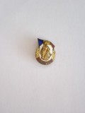 QW9 N2 58 - insigna - militar - Veteran din razboiul antifascist, Romania de la 1950
