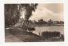 SG8 - Carte Postala - Germania, Zwickau am Schwanensteich , Circulata 1959, Fotografie