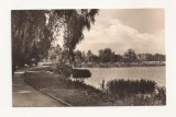 SG8 - Carte Postala - Germania, Zwickau am Schwanensteich , Circulata 1959, Fotografie